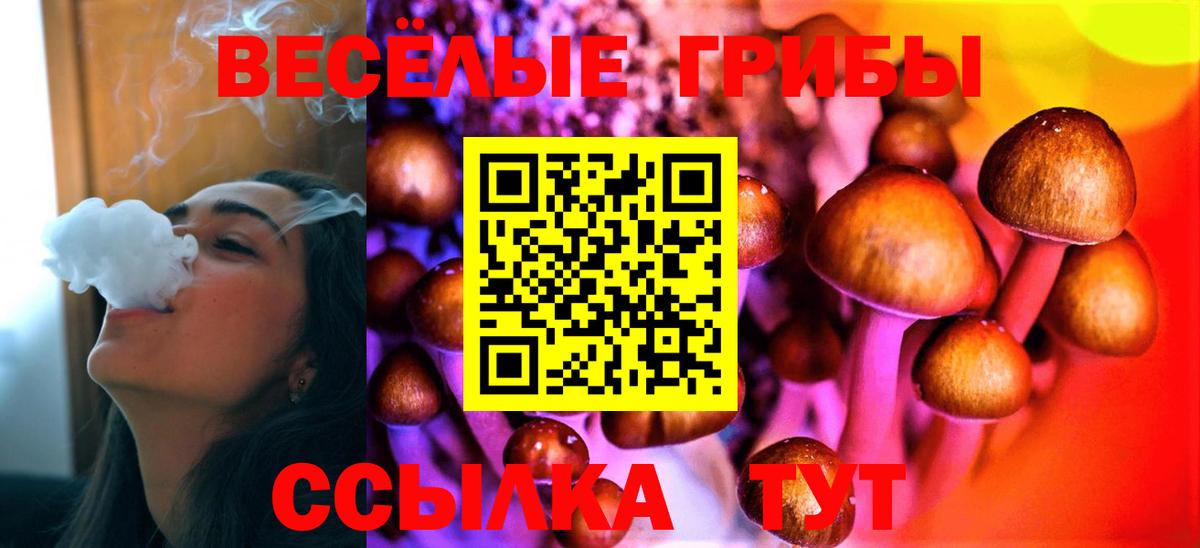 Псилоцибиновые грибы ЛСД  Псилоцибиновые грибы мухоморы  Знаменск  Вход с VPN 